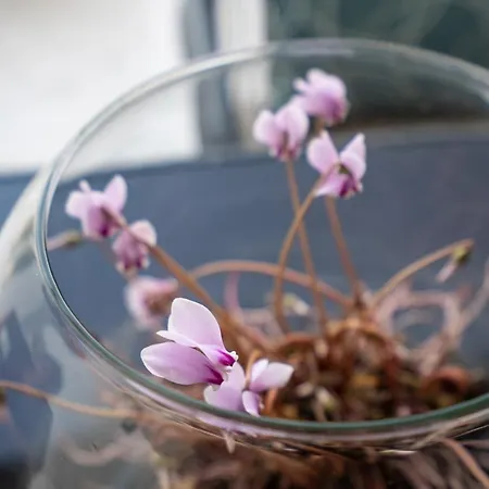 Villa Maria Pf Ee Nydri (Lefkada)